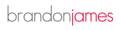 Senior Structural Engineer Logo