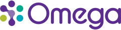 Site Electrical Engineering Duty Manager Logo